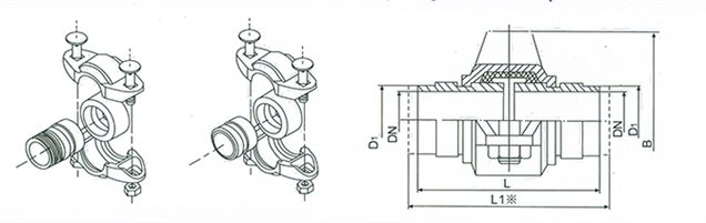 cdl-11